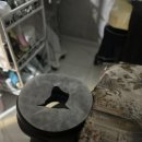 [서울 스포츠마사지] 구로구 하라힐즈 고척점 마사지 탈모 피부관리 다 가능한 멀티케어샵!