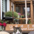 나무애민박