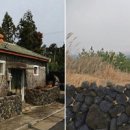 제주스테이 비움 이미지