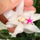 주황농장 이미지