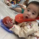 청포농장 | 퍼니퍼니 아기판다 롯백 인천점 문센 후기