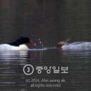 호사곳