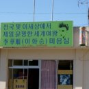 여왕미용실 Daum카페