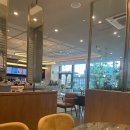 투썸플레이스세종 - 세종특별자치시 행복5길 23 | 투썸플레이스세종