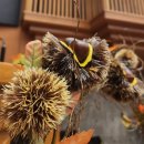 내리사랑 이미지