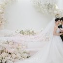 그레이스파티