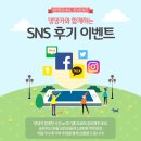 댕댕카 이미지