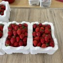 가덕농장 이미지