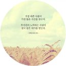 피네 이미지