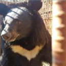 영장농장 이미지