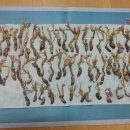 매미동충하초 산해박 판매 이미지