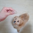 너에게꽃히다