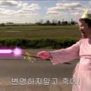 돈이가