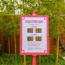 매화랜드 앞 이미지