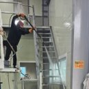 씨엠 | 중랑구청소업체 형우씨엠 맡긴후기