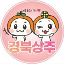 UR(상주시)-[사벌로]-상-6 | 경북 상주 여행