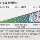 산소수와 활성 산소 이미지