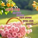 신나는 날 이미지