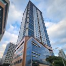 안성맞춤 행정사 이미지