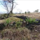 상모리-11 이미지