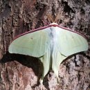 사시골천 이미지