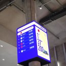 7성인게임장 | 제주 아이랑 가볼만한곳 981파크 제주 카트 실내 체험 7살 후기