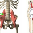 VIP퍼스널 운동센터 이미지
