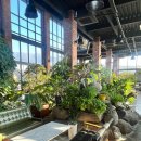 카페그린 이미지