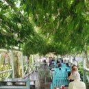 태안나비 | 충남 태안 핫플!! 제빵명장의 빵집 [몽산포제빵소] 내돈내산 방문 솔직 후기!!