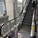 딤플 | 광명 중앙대병원에서 아기 딤플 초음파 검사 받은 후기