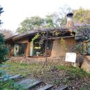 박터진흥부네 이미지