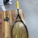스쿼시 라켓 줄교체 분평동 신스타 방문
