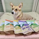 pet347다4097 | 강아지 동결건조 야채칩 :) 제주 강씨네 동결건조야채