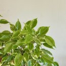 좋은날,여기 이미지