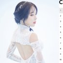 지니어스