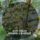 성연농장 이미지