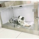 송정동물메디컬센터 이미지