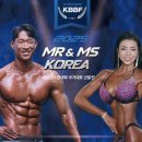 미스터쌤