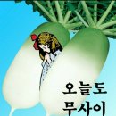 오늘도 무사이 이미지