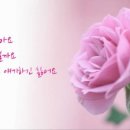 순화궁로357 이미지