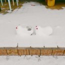 고창아시아마트 이미지