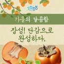 드림공동체 영농조합