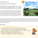 8월 견지낚시와 팔봉산 횡성 한우 이미지