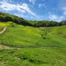 산양농장 이미지