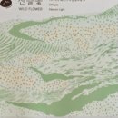 엠에스디에스티