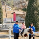 한두목장 | ✨아이랑 가기 좋은 충북 여행지｜벨포레 목장 + 미디어아트센터 하루코스✨