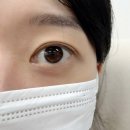 미모가눈썹 | [안산] 뷰티 경력 10년 전문가가 운영하는 고잔동 반영구, 속눈썹펌으로 유명한 "미모가 눈썹"