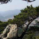 감포시장 이미지