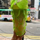 홍콩티컴퍼니 이미지
