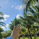 (주)일곡월드스파 | 푸꾸옥 태교여행 3일차 썬월드 혼똔섬 케이블카 아쿠아토피아 워터파크, 라라스파, 양자강 짬뽕 배달 맛집